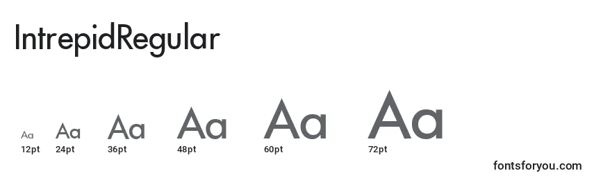 IntrepidRegular Font Sizes