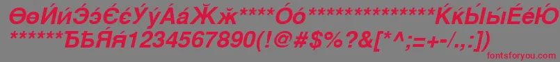 フォントCyrillicsansBoldoblique – 赤い文字の灰色の背景