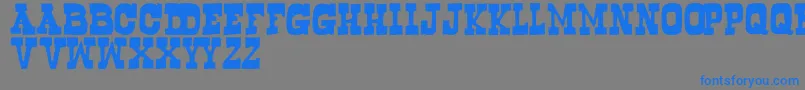Bogusflow Font – Blue Fonts on Gray Background