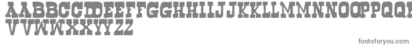 Bogusflow Font – Gray Fonts on White Background