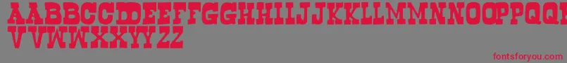 Bogusflow Font – Red Fonts on Gray Background