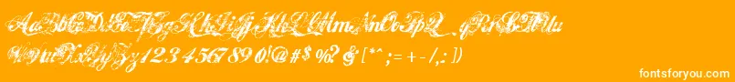 フォントHawaiiKiller – オレンジの背景に白い文字