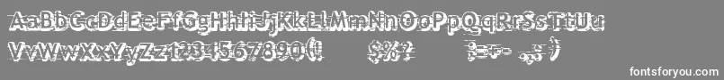 フォントAlfred24 – 灰色の背景に白い文字