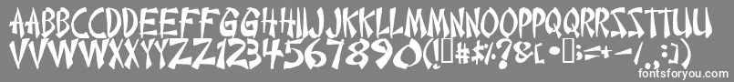 Chinese Font – White Fonts on Gray Background