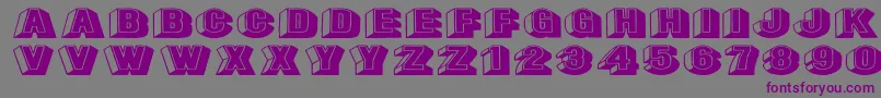 Leecapsex-Schriftart – Violette Schriften auf grauem Hintergrund
