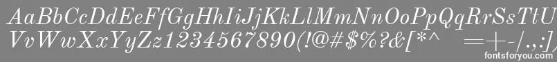 OldstandardItalic Font – White Fonts on Gray Background