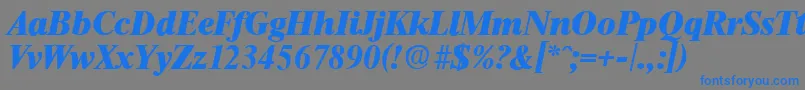 ThamesHeavyita Font – Blue Fonts on Gray Background