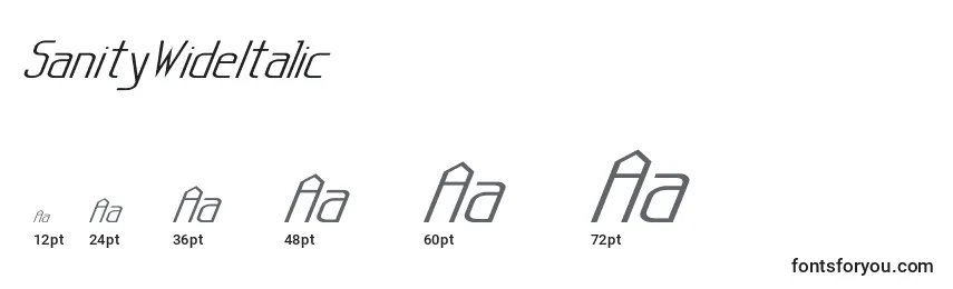 SanityWideItalic Font Sizes