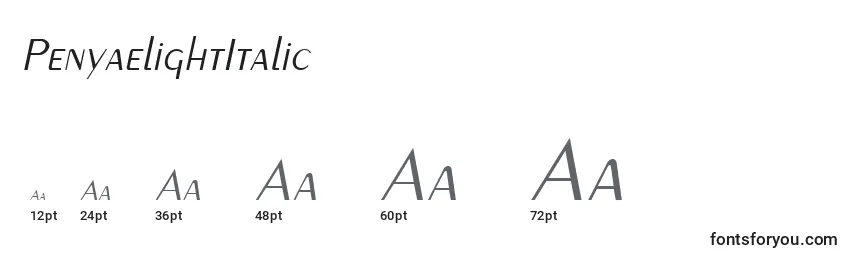 Размеры шрифта PenyaelightItalic