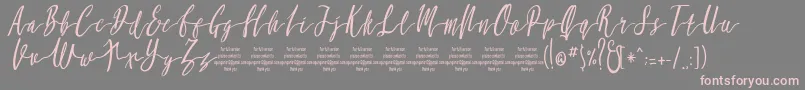 MollucaItalicFree-Schriftart – Rosa Schriften auf grauem Hintergrund