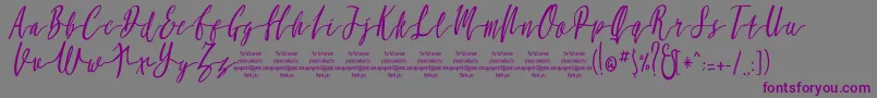 フォントMollucaItalicFree – 紫色のフォント、灰色の背景