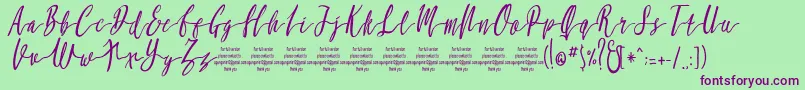 MollucaItalicFree-Schriftart – Violette Schriften auf grünem Hintergrund