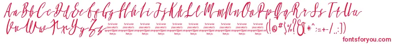 MollucaItalicFree Font – Red Fonts on White Background