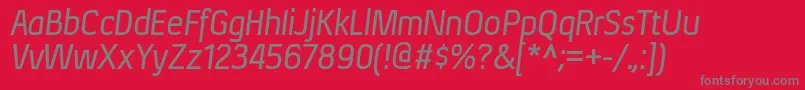 XenurgItalic Font – Gray Fonts on Red Background