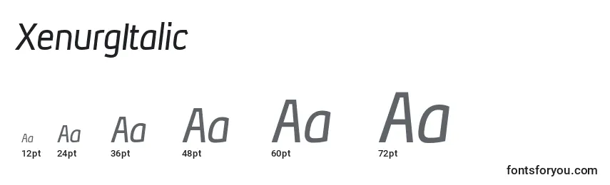 Размеры шрифта XenurgItalic