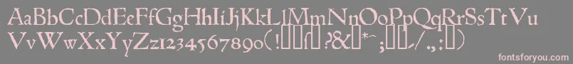 フォント1543humaneJenson – 灰色の背景にピンクのフォント