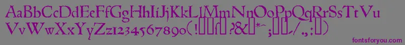 1543humaneJenson Font – Purple Fonts on Gray Background