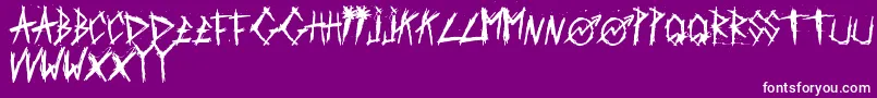 ScratchedCarPaint-Schriftart – Weiße Schriften auf violettem Hintergrund
