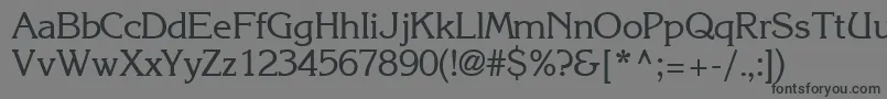 IntuitionsskRegular Font – Black Fonts on Gray Background