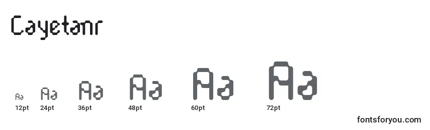 Cayetanr Font Sizes