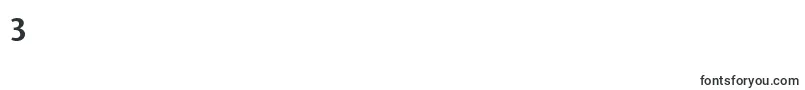 StoneSansSemOsItcttSemi Font – Fonts for Digit 3
