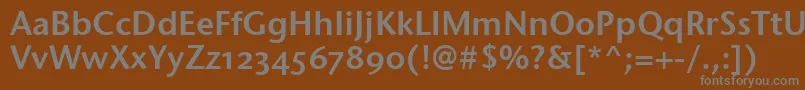 Шрифт StoneSansSemOsItcttSemi – серые шрифты на коричневом фоне