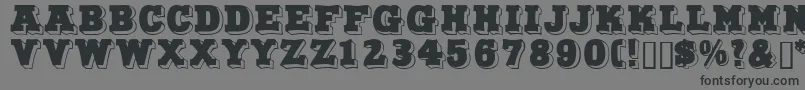 Northfacedisplaycapsssk Font – Black Fonts on Gray Background