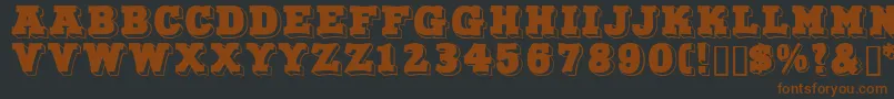 Northfacedisplaycapsssk-fontti – ruskeat fontit mustalla taustalla