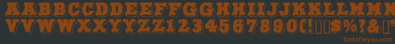 Northfacedisplaycapsssk Font – Brown Fonts on Black Background