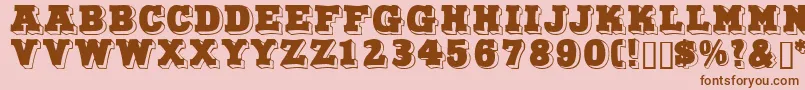 Northfacedisplaycapsssk Font – Brown Fonts on Pink Background