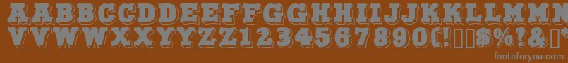 Northfacedisplaycapsssk Font – Gray Fonts on Brown Background