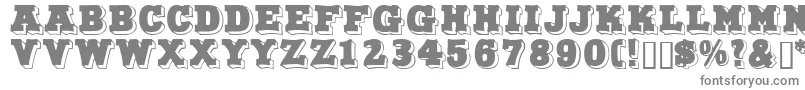 Northfacedisplaycapsssk Font – Gray Fonts