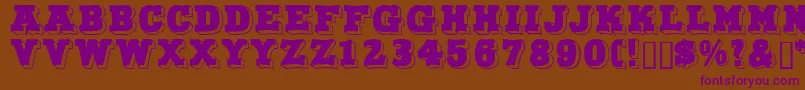 Northfacedisplaycapsssk Font – Purple Fonts on Brown Background