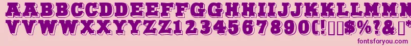 Northfacedisplaycapsssk Font – Purple Fonts on Pink Background