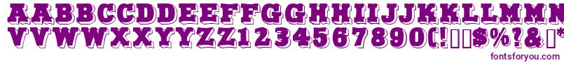 Northfacedisplaycapsssk Font – Purple Fonts on White Background