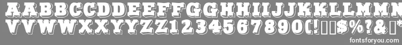 Northfacedisplaycapsssk Font – White Fonts on Gray Background