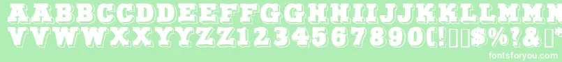 Northfacedisplaycapsssk Font – White Fonts on Green Background