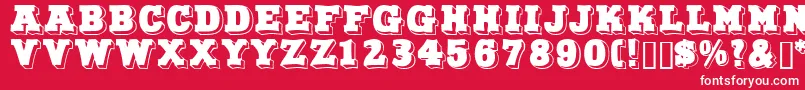 Northfacedisplaycapsssk Font – White Fonts on Red Background