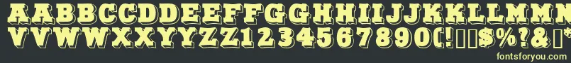 Northfacedisplaycapsssk Font – Yellow Fonts on Black Background