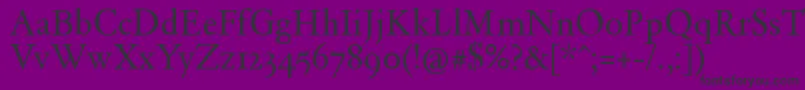 Czcionka DayRoman – czarne czcionki na fioletowym tle