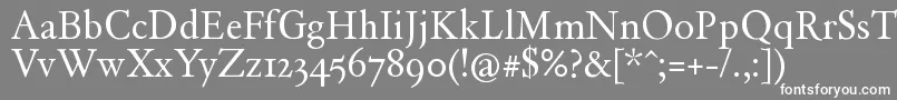 フォントDayRoman – 灰色の背景に白い文字