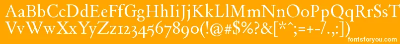 フォントDayRoman – オレンジの背景に白い文字