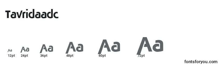 Tavridaadc Font Sizes