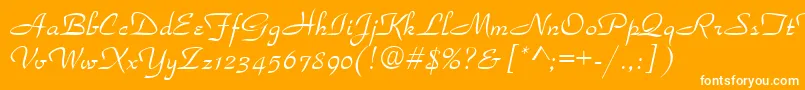 ParkAvenueNormal Font – White Fonts on Orange Background