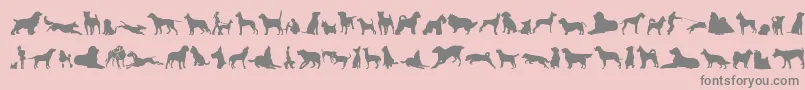 フォントCanDogTfb – ピンクの背景に灰色の文字