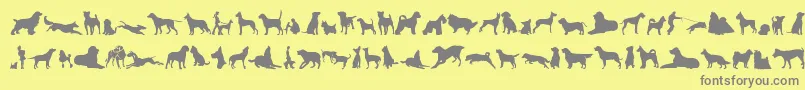 CanDogTfb Font – Gray Fonts on Yellow Background