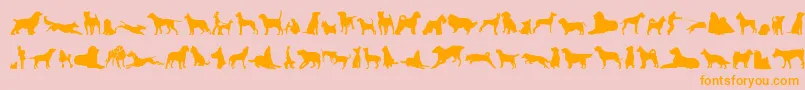 CanDogTfb Font – Orange Fonts on Pink Background
