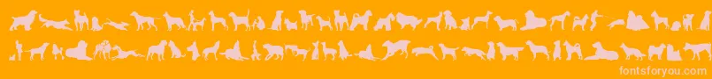 CanDogTfb Font – Pink Fonts on Orange Background