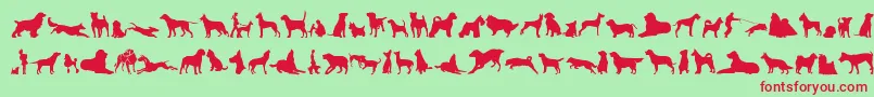 フォントCanDogTfb – 赤い文字の緑の背景