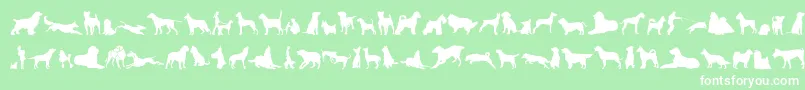 フォントCanDogTfb – 緑の背景に白い文字